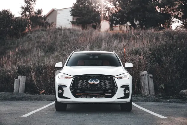 Wildz Kasino Apl Android/iOS